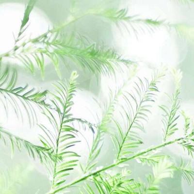 扎哈罗娃：美呼吁与伊朗谈判 可能旨在准备重新部署武装力量习近平为“千年大计”作出重要部署